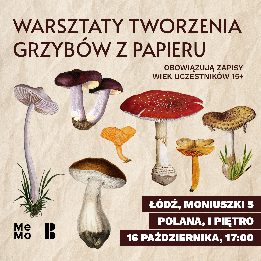 10.16_grzyby_kwadrat.png